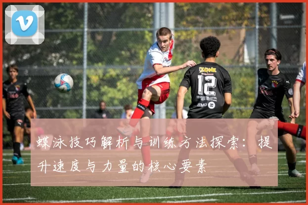蝶泳技巧解析与训练方法探索：提升速度与力量的核心要素