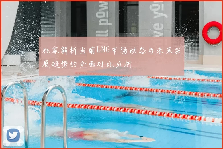 独家解析当前LNG市场动态与未来发展趋势的全面对比分析