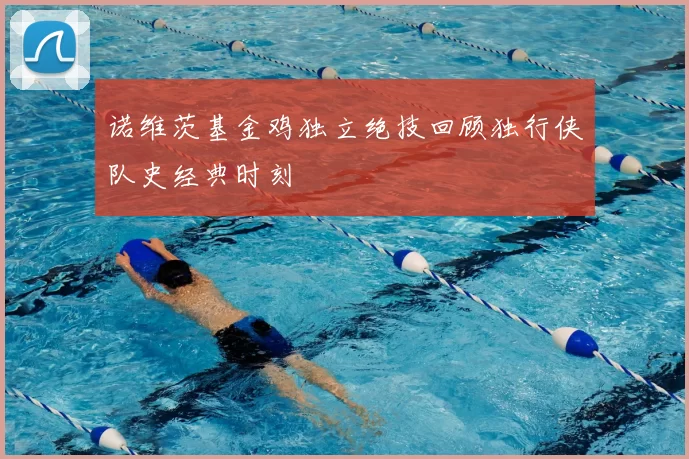 诺维茨基金鸡独立绝技回顾独行侠队史经典时刻