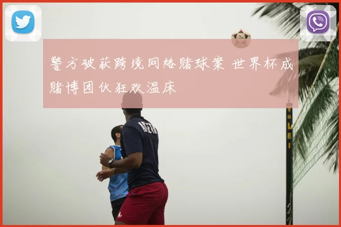 警方破获跨境网络赌球案 世界杯成赌博团伙狂欢温床