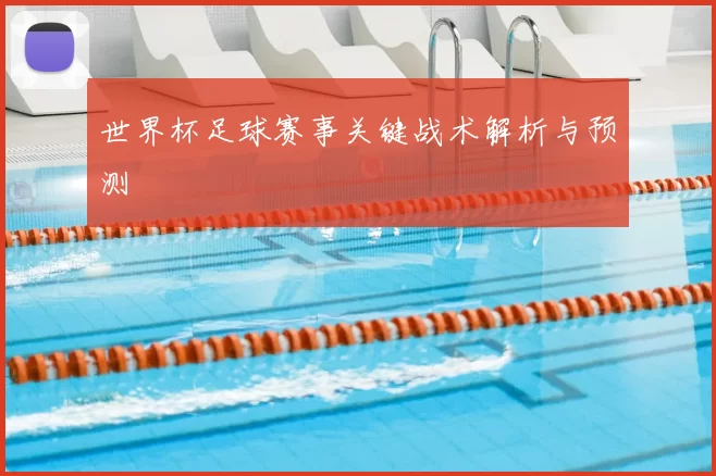 世界杯足球赛事关键战术解析与预测