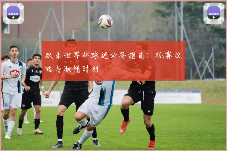 欢乐世界杯球迷必备指南:观赛攻略与激情时刻