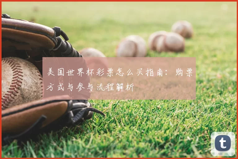 美国世界杯彩票怎么买指南：购票方式与参与流程解析