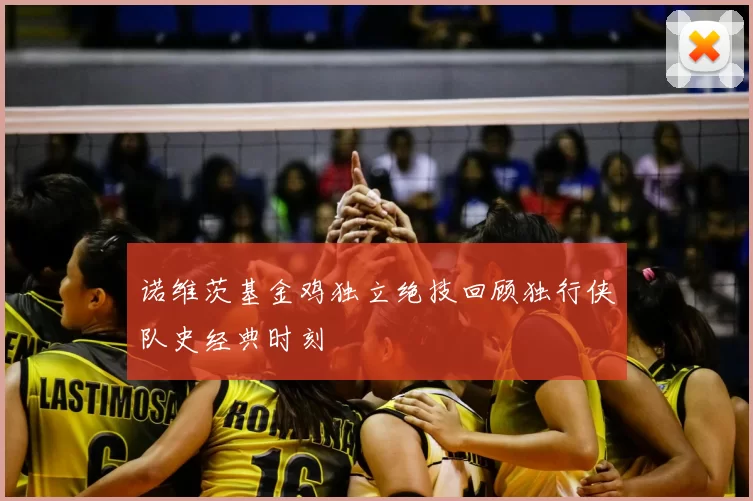 诺维茨基金鸡独立绝技回顾独行侠队史经典时刻