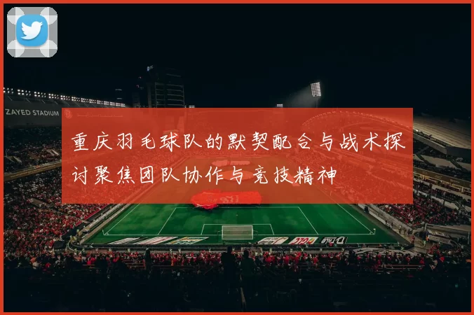 重庆羽毛球队的默契配合与战术探讨聚焦团队协作与竞技精神