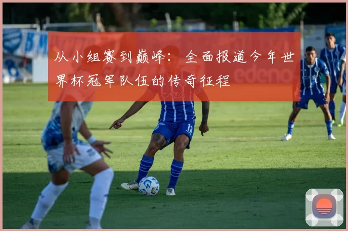 从小组赛到巅峰：全面报道今年世界杯冠军队伍的传奇征程