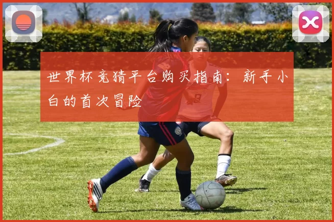 世界杯竞猜平台购买指南:新手小白的首次冒险
