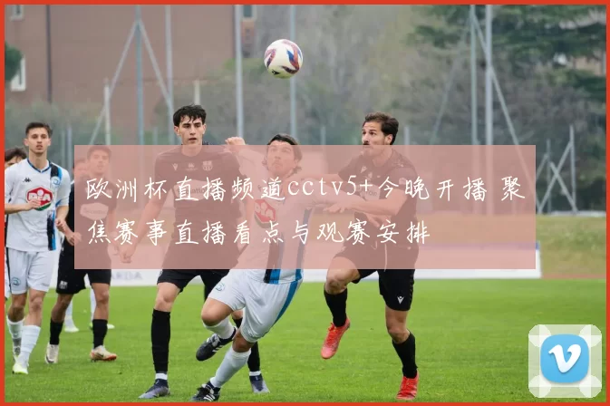 欧洲杯直播频道cctv5+今晚开播 聚焦赛事直播看点与观赛安排