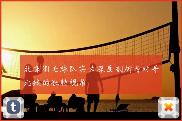 北京羽毛球队实力深度剖析与对手比较的独特视角