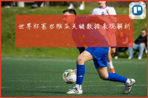 世界杯塞尔维亚关键数据表现解析