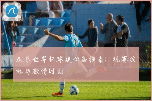 欢乐世界杯球迷必备指南：观赛攻略与激情时刻