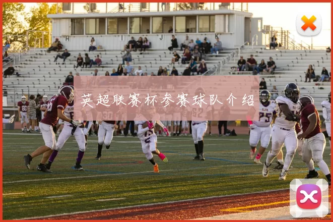 英超联赛杯参赛球队介绍