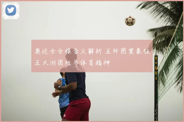 奥运会会旗含义解析 五环图案象征五大洲团结与体育精神