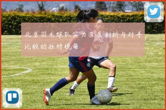 北京羽毛球队实力深度剖析与对手比较的独特视角