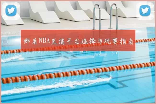 哪看NBA直播平台选择与观赛指南