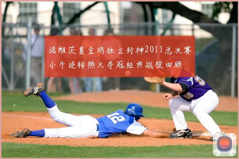 诺维茨基金鸡独立封神2011总决赛小牛逆转热火夺冠经典战役回顾