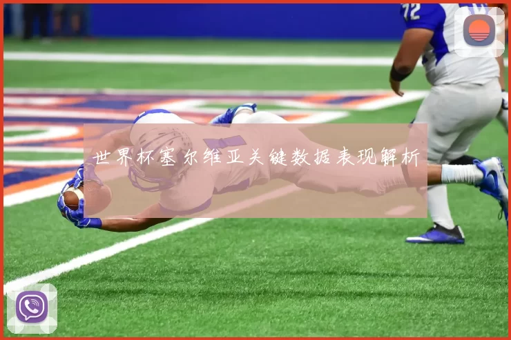 世界杯塞尔维亚关键数据表现解析