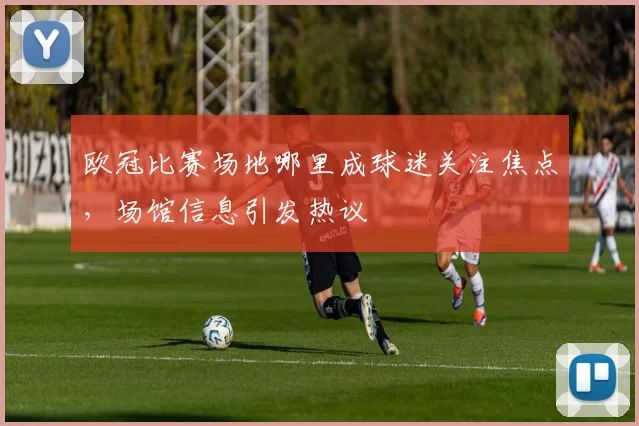 欧冠比赛场地哪里成球迷关注焦点，场馆信息引发热议
