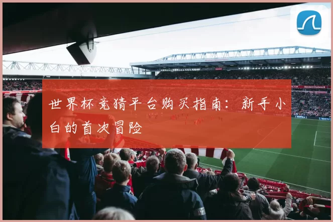 世界杯竞猜平台购买指南：新手小白的首次冒险