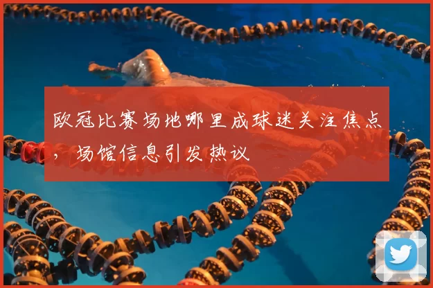 欧冠比赛场地哪里成球迷关注焦点，场馆信息引发热议