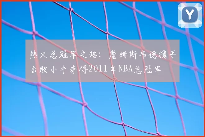 热火总冠军之路：詹姆斯韦德携手击败小牛夺得2011年NBA总冠军