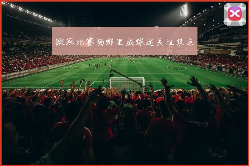 欧冠比赛场哪里成球迷关注焦点
